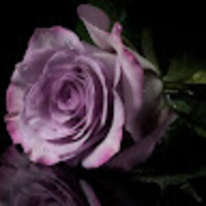 Meet your Posher, Cis